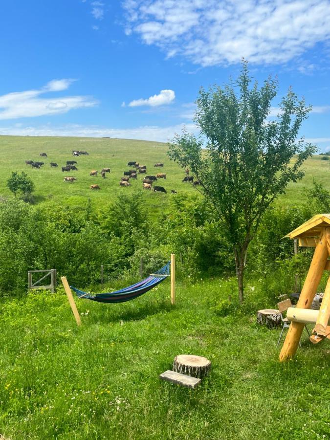 فيلا Casa Eden Fit Faget  المظهر الخارجي الصورة