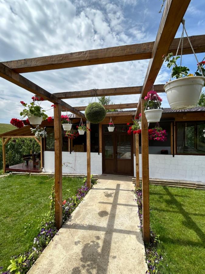 فيلا Casa Eden Fit Faget  المظهر الخارجي الصورة